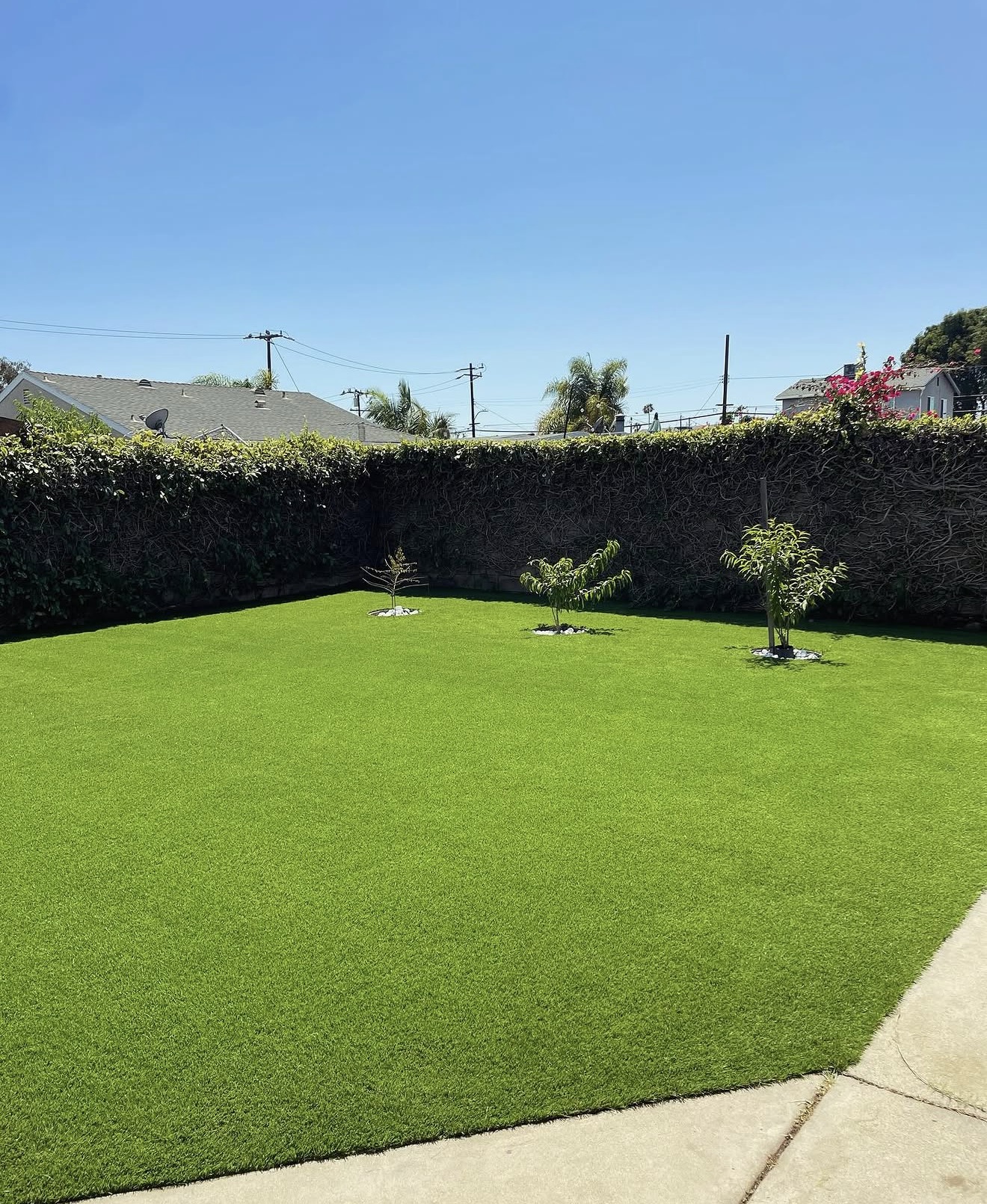 Artificial Turf project example