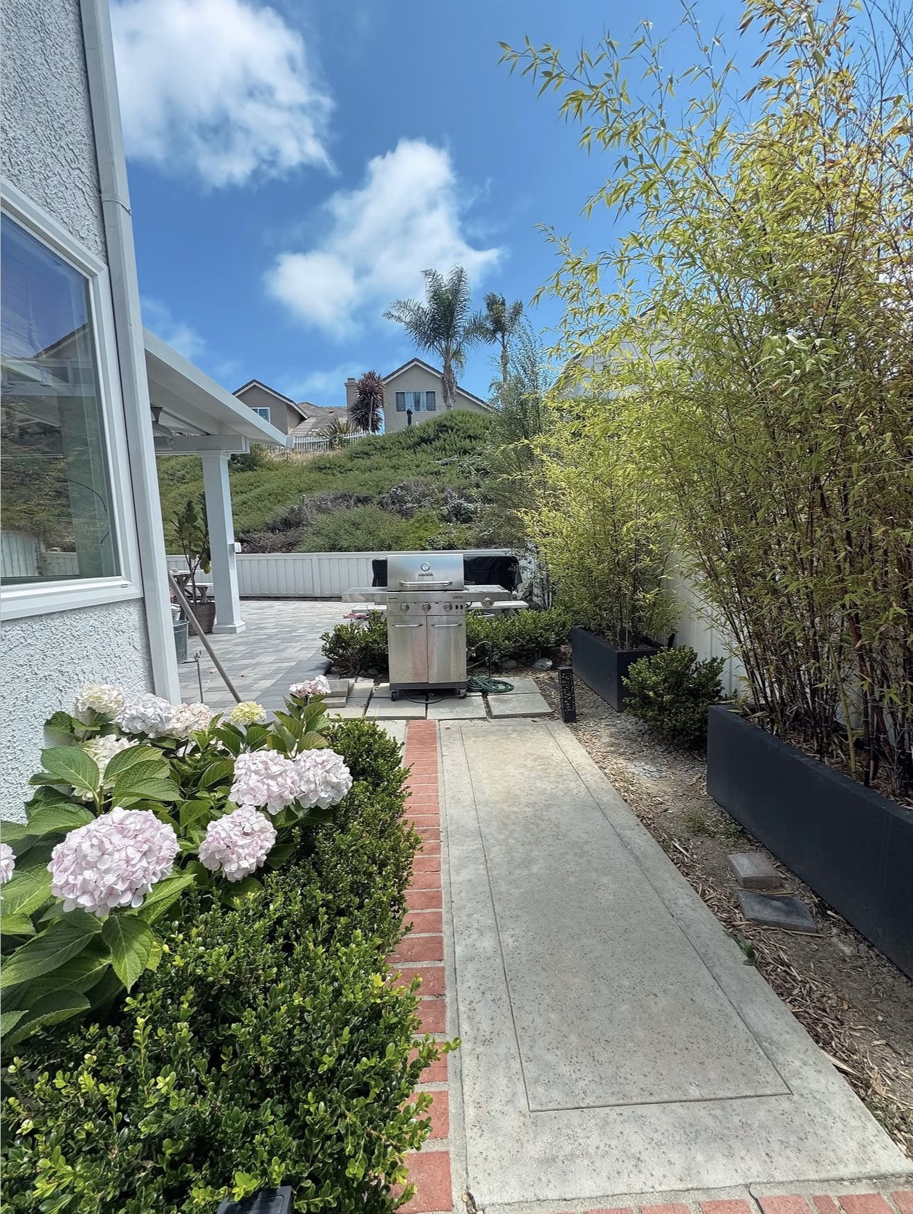 Backyard Remodel project