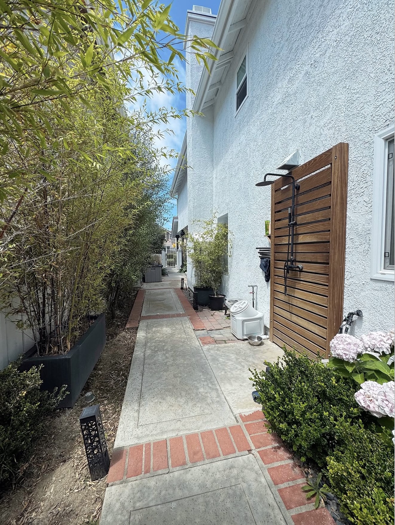 Backyard Remodel project