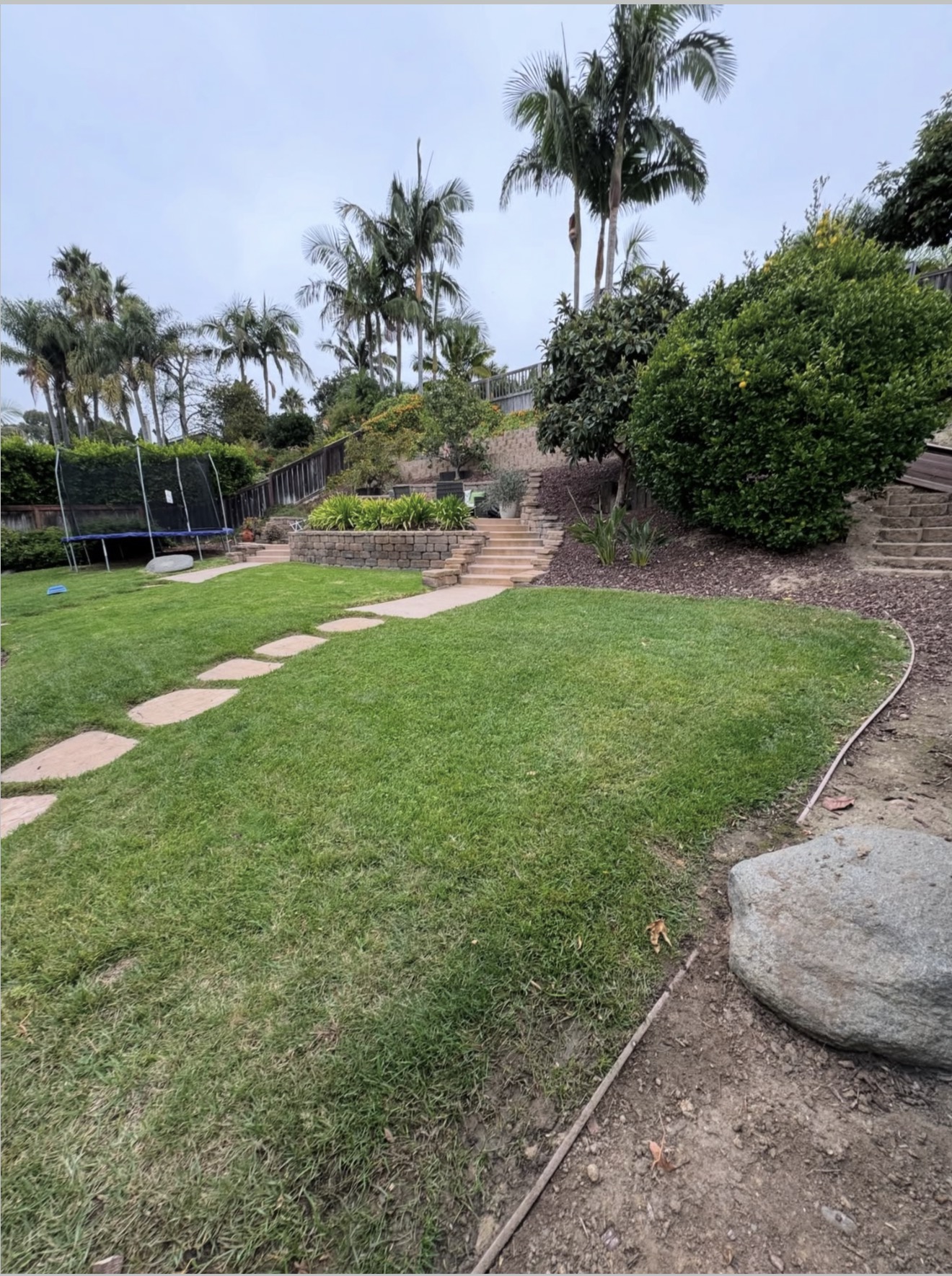 Backyard Remodel project