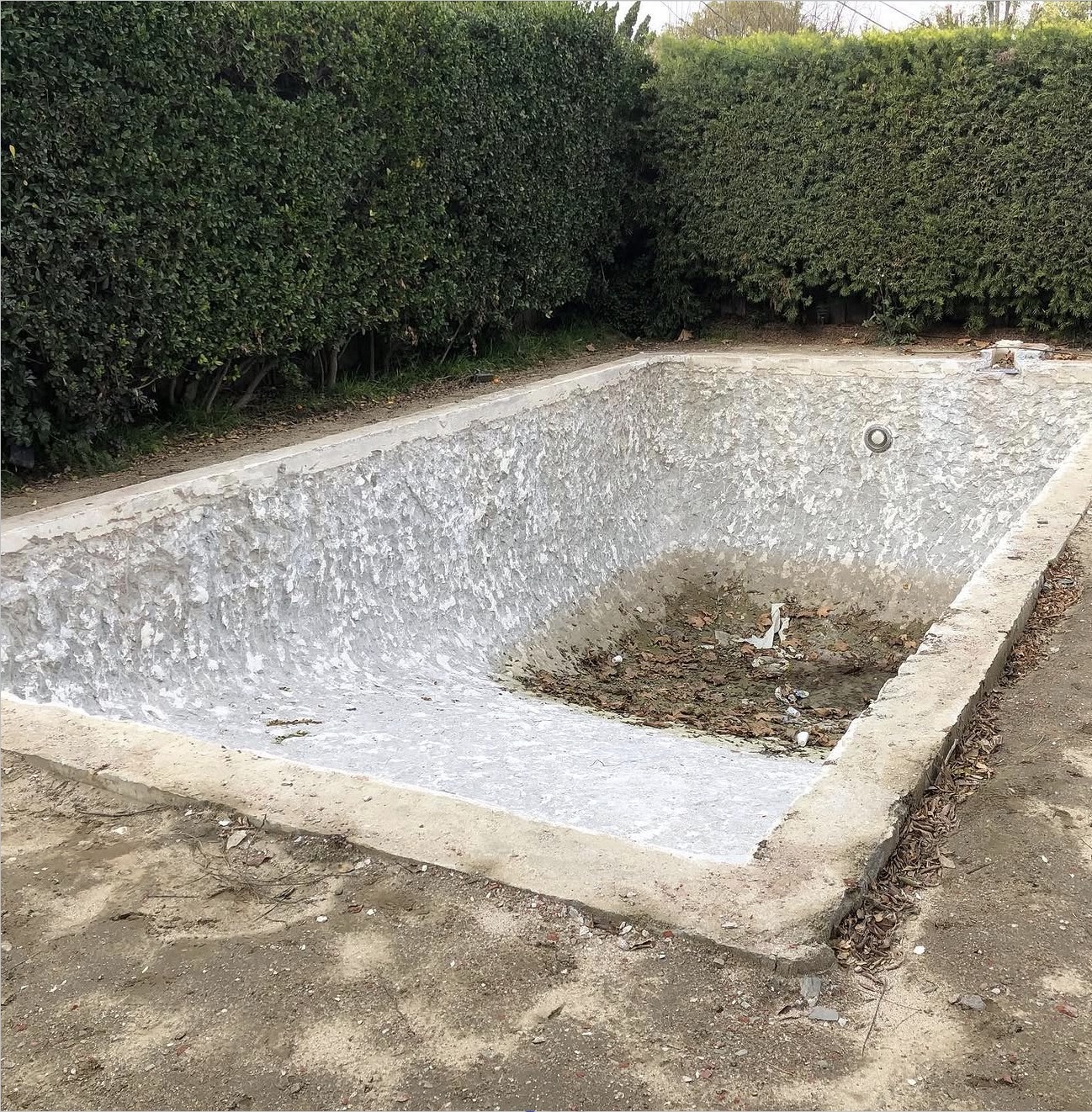 Backyard Remodel project