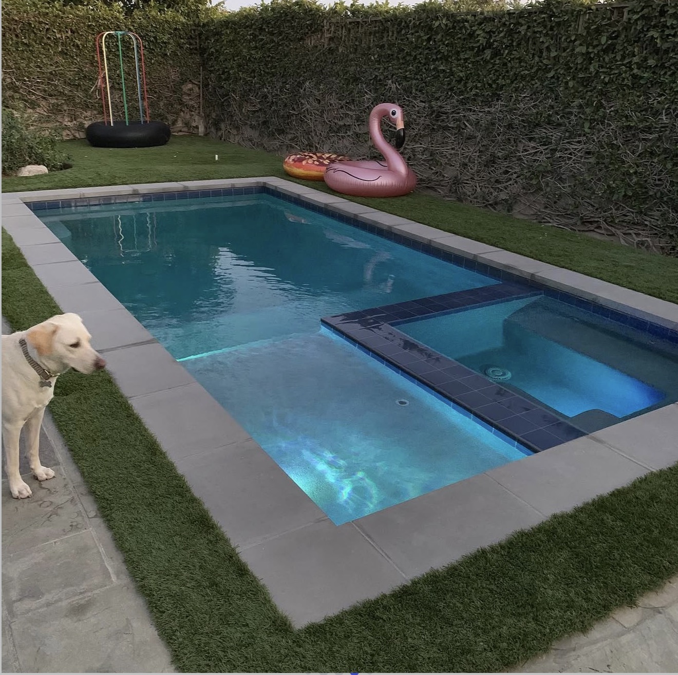 Backyard Remodel project
