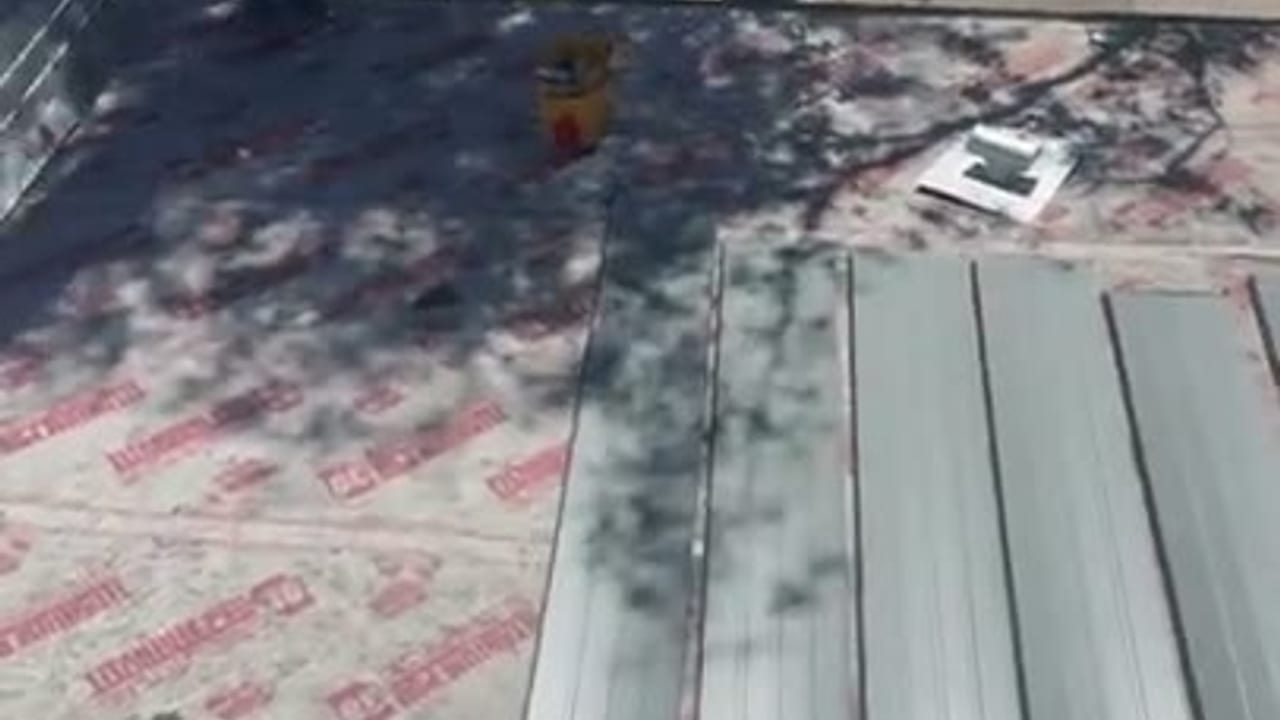 Project clip 4