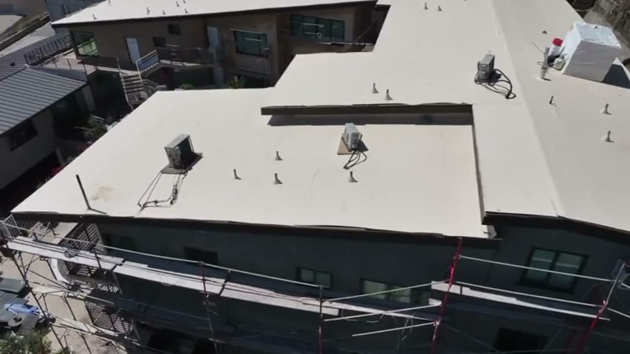 Project clip 5