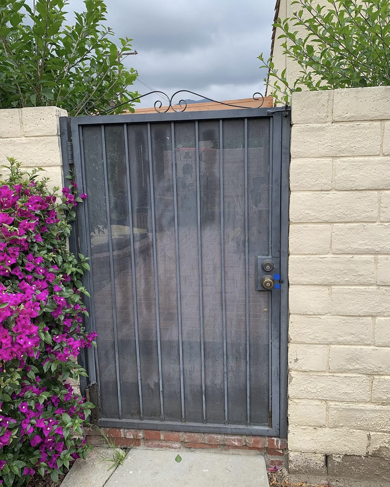 Stained Vertical-Plank Wood Side Gate — before state